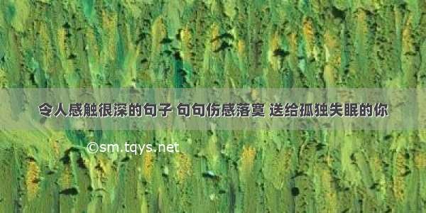 令人感触很深的句子 句句伤感落寞 送给孤独失眠的你