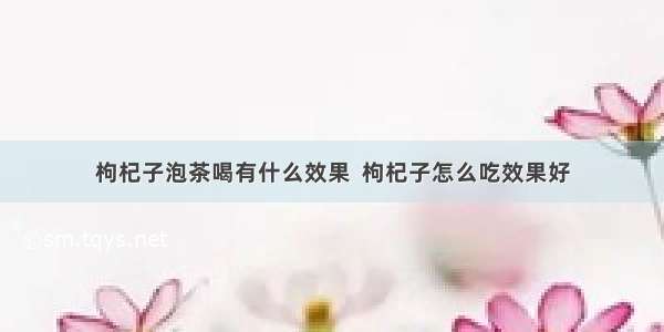 枸杞子泡茶喝有什么效果  枸杞子怎么吃效果好