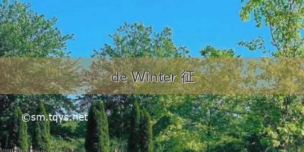 de Winter 征