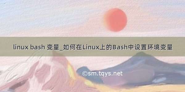 linux bash 变量_如何在Linux上的Bash中设置环境变量