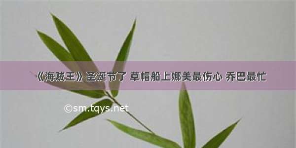 《海贼王》圣诞节了 草帽船上娜美最伤心 乔巴最忙