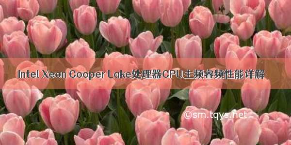 Intel Xeon Cooper Lake处理器CPU主频睿频性能详解