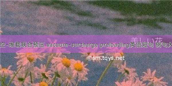 真空-堆载联合预压 vacuum-surcharge preloading英语短句 例句大全