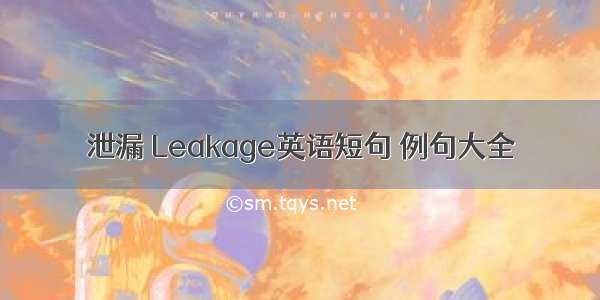 泄漏 Leakage英语短句 例句大全