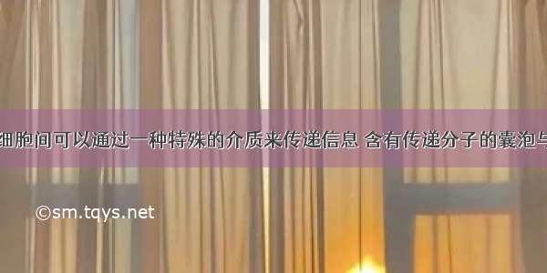 单选题神经细胞间可以通过一种特殊的介质来传递信息 含有传递分子的囊泡与神经细胞的