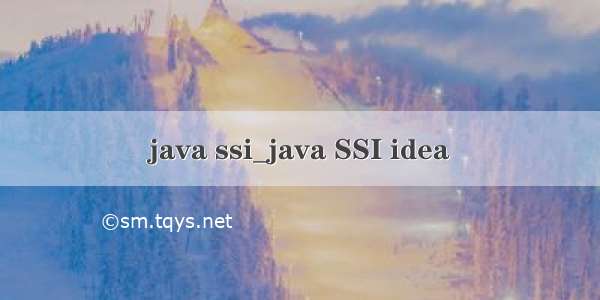 java ssi_java SSI idea