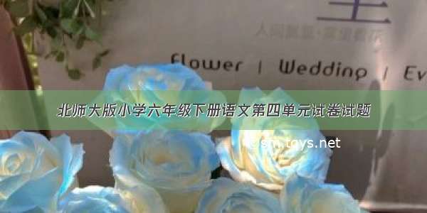 北师大版小学六年级下册语文第四单元试卷试题