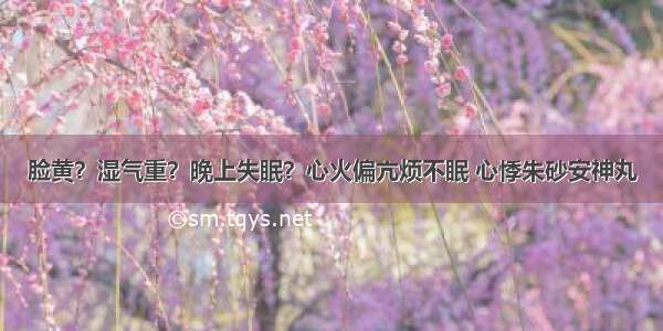 脸黄？湿气重？晚上失眠？心火偏亢烦不眠 心悸朱砂安神丸