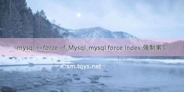 mysql --force -f_Mysql_mysql force Index 强制索引