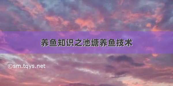 养鱼知识之池塘养鱼技术