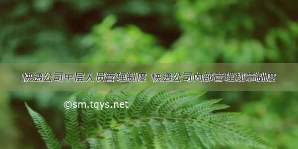 快递公司中层人员管理制度 快递公司内部管理规章制度