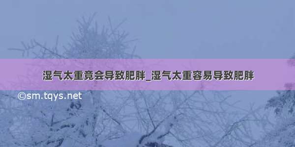 湿气太重竟会导致肥胖_湿气太重容易导致肥胖