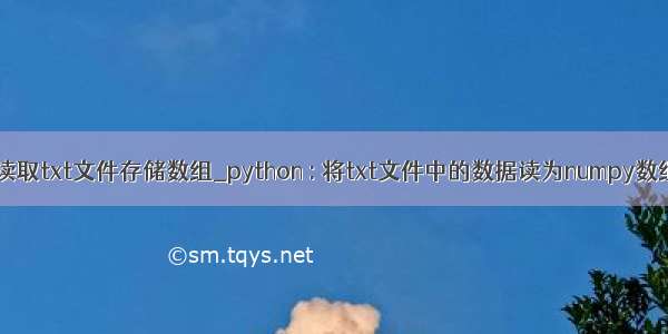 python读取txt文件存储数组_python : 将txt文件中的数据读为numpy数组或列表