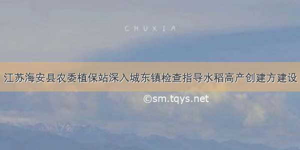 江苏海安县农委植保站深入城东镇检查指导水稻高产创建方建设