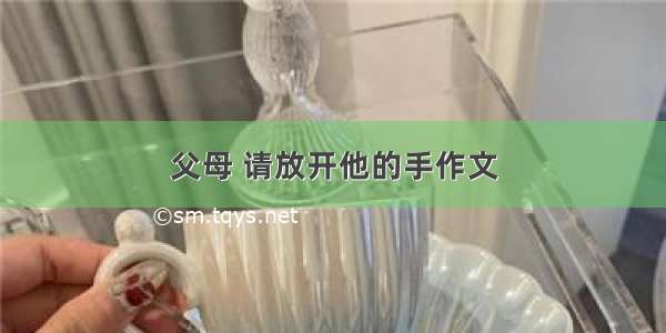 父母 请放开他的手作文