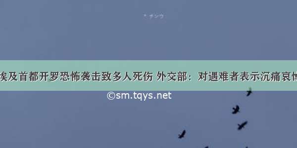 埃及首都开罗恐怖袭击致多人死伤 外交部：对遇难者表示沉痛哀悼