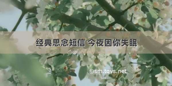 经典思念短信 今夜因你失眠