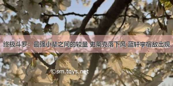 终极斗罗：最强小辈之间的较量 史莱克落下风 蓝轩宇宿敌出现