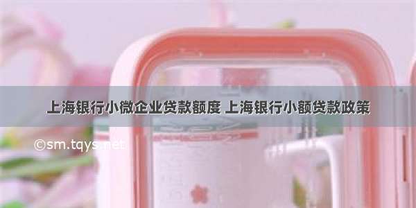 上海银行小微企业贷款额度 上海银行小额贷款政策