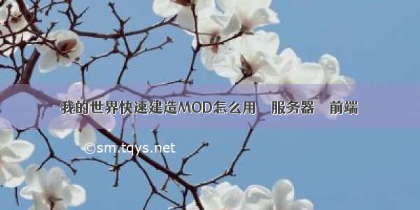 我的世界快速建造MOD怎么用 – 服务器 – 前端