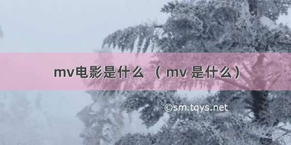 mv电影是什么 （ mv 是什么）