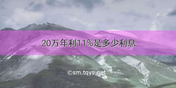 20万年利11%是多少利息