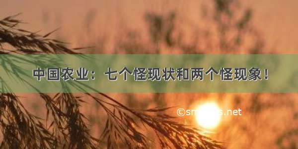 中国农业：七个怪现状和两个怪现象！