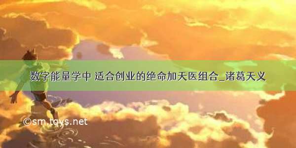 数字能量学中 适合创业的绝命加天医组合_诸葛天义