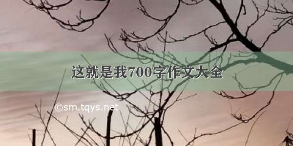 这就是我700字作文大全