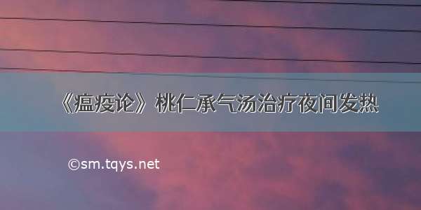 《瘟疫论》桃仁承气汤治疗夜间发热