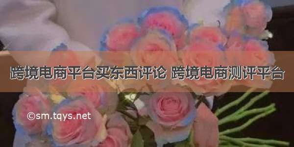 跨境电商平台买东西评论 跨境电商测评平台