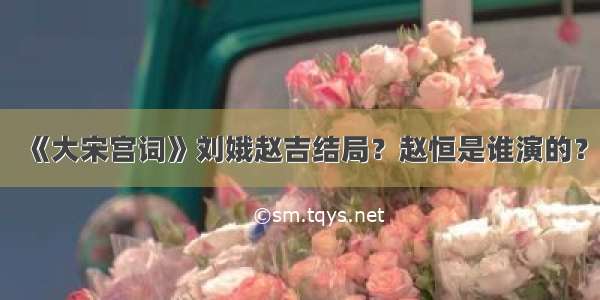 《大宋宫词》刘娥赵吉结局？赵恒是谁演的？