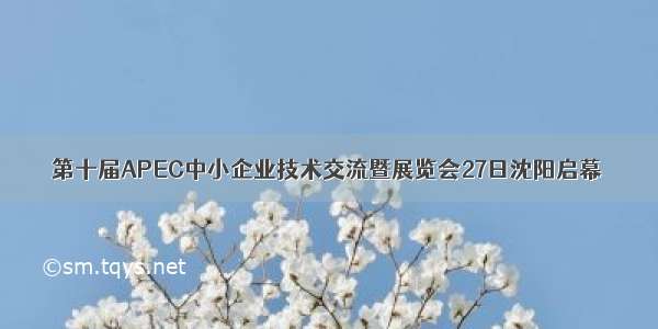 第十届APEC中小企业技术交流暨展览会27日沈阳启幕