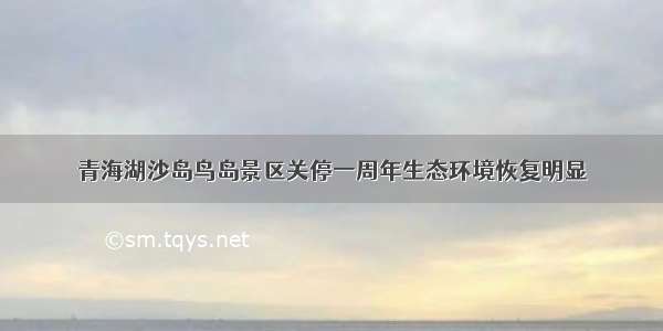 青海湖沙岛鸟岛景区关停一周年生态环境恢复明显