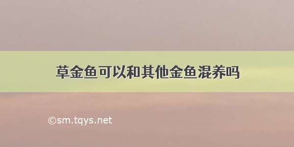 草金鱼可以和其他金鱼混养吗