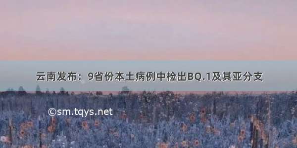 云南发布：9省份本土病例中检出BQ.1及其亚分支