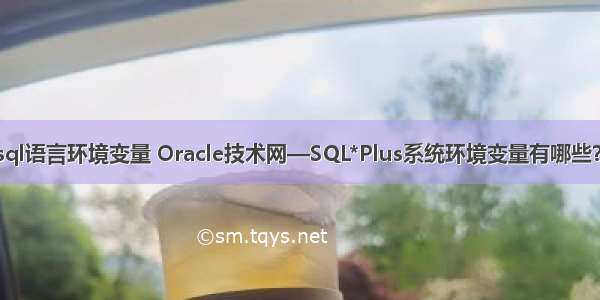 oracle自带的sql语言环境变量 Oracle技术网—SQL*Plus系统环境变量有哪些？如何修改？...