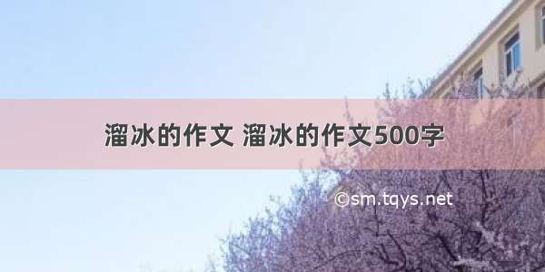 溜冰的作文 溜冰的作文500字