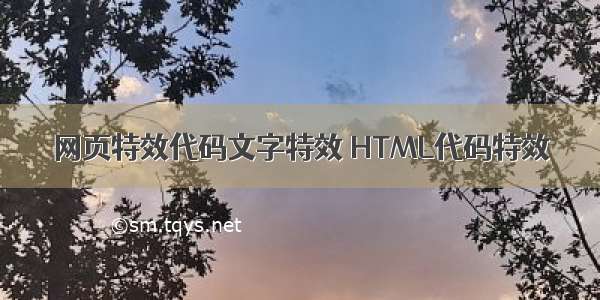 网页特效代码文字特效 HTML代码特效