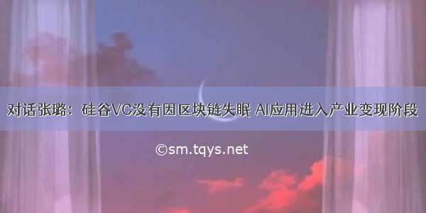 对话张璐：硅谷VC没有因区块链失眠 AI应用进入产业变现阶段