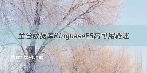 金仓数据库KingbaseES高可用概述