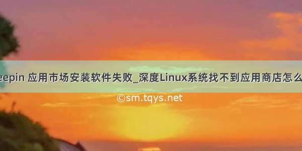 deepin 应用市场安装软件失败_深度Linux系统找不到应用商店怎么办