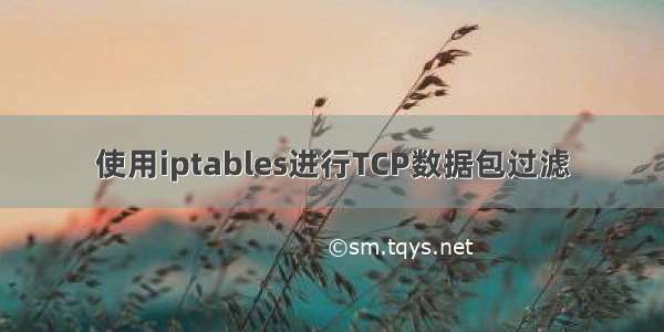 使用iptables进行TCP数据包过滤