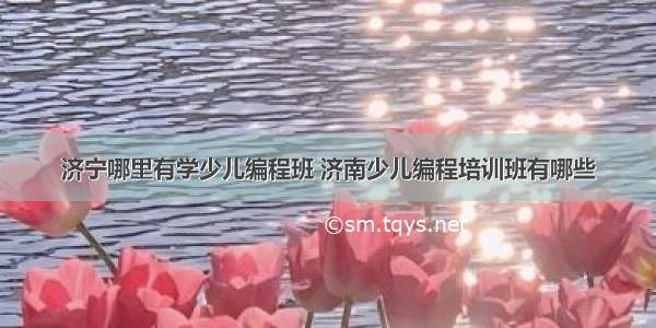 济宁哪里有学少儿编程班 济南少儿编程培训班有哪些