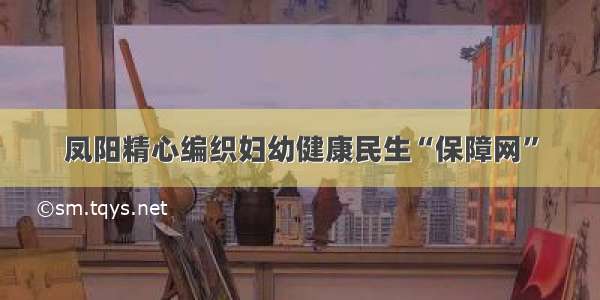 凤阳精心编织妇幼健康民生“保障网”