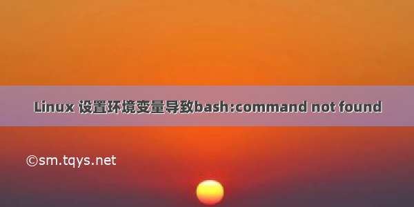 Linux 设置环境变量导致bash:command not found