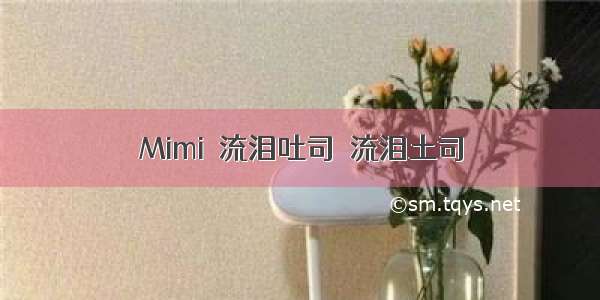 Mimi♥流泪吐司●流泪土司