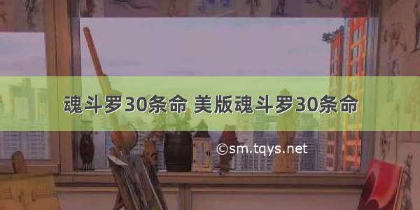 魂斗罗30条命 美版魂斗罗30条命