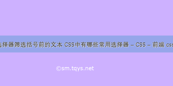 css选择器筛选括号前的文本 CSS中有哪些常用选择器 – CSS – 前端 css层次