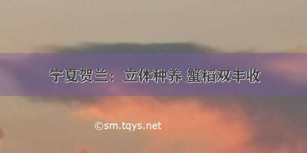 宁夏贺兰：立体种养 蟹稻双丰收